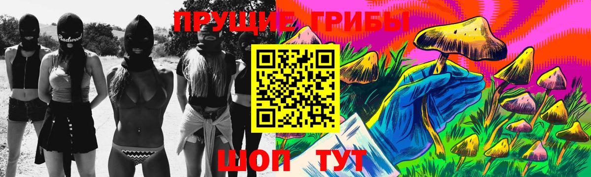 Анжеро-Судженск  Галлюциногенные грибы прущие грибы  Вход с VPN  Галлюциногенные грибы Cubensis 